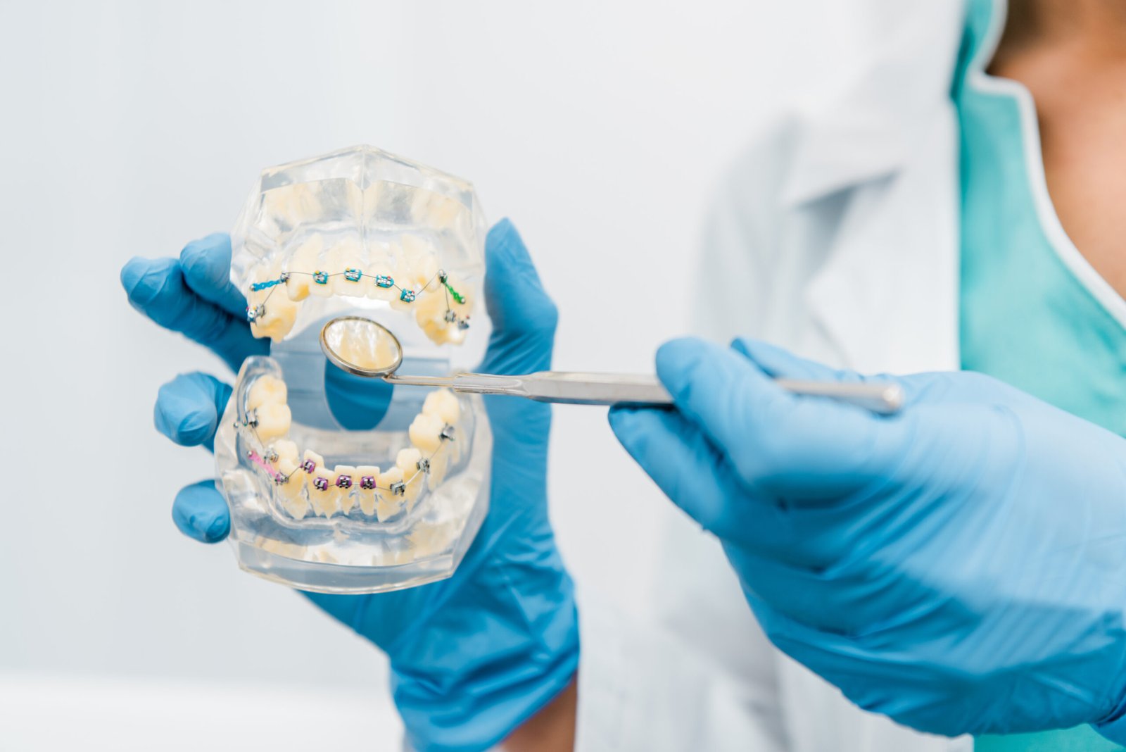 cropped view of dental jaw model in hands of stomatologist in latex gloves